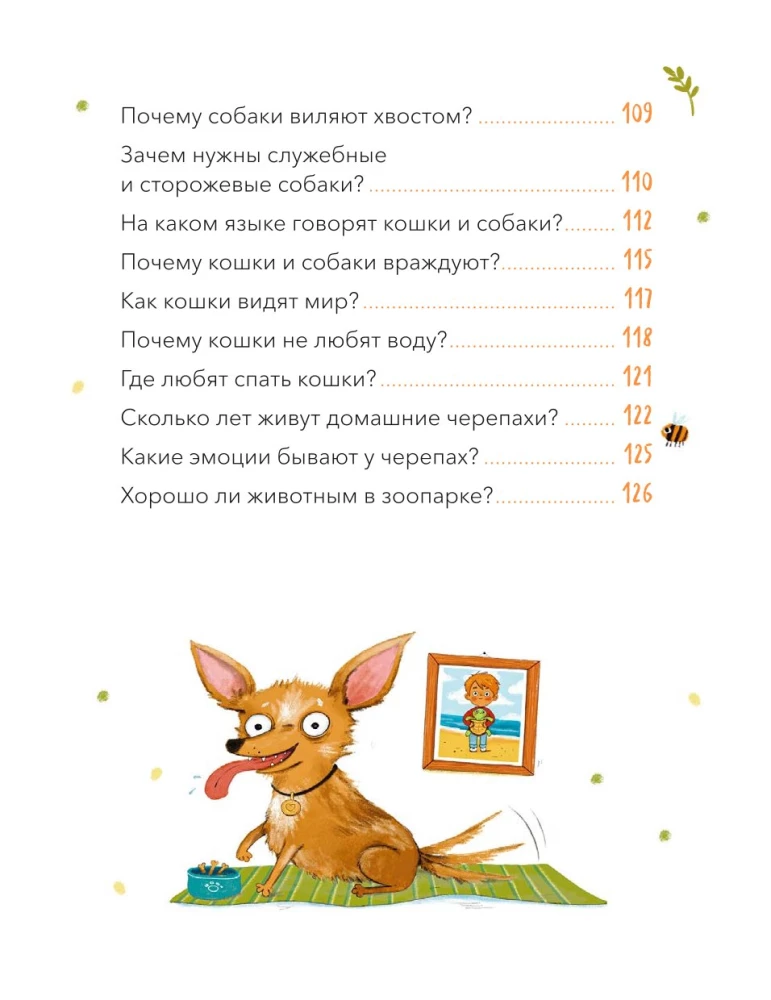 What, Where and Why? The Most Interesting Children's Questions About the World Around